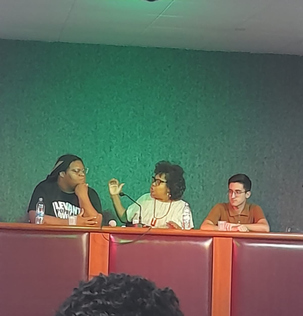 II Seminario racismo_5